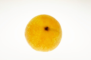 梨　爽甘梨　鳥取県産　白抜き