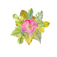 watercolor drawing flowers