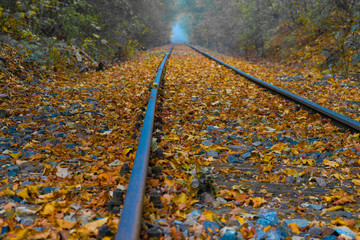 Bahngleise im Frühnebel