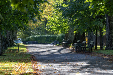path in the park during autumn