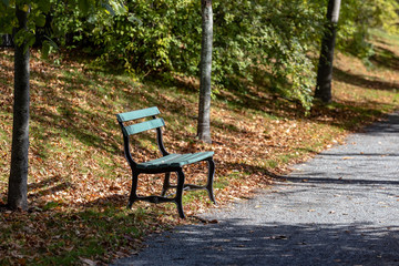 a lonely bench in the park during autumn, leaves, no people, path