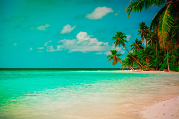 tropical sand beach with palm trees, vacation