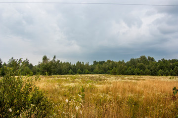 landscape with green field and blue sky