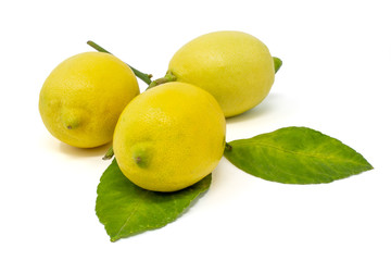 limone Citrus limon