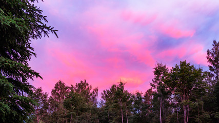 Colorful sunset in the cloudy sky above the green forest