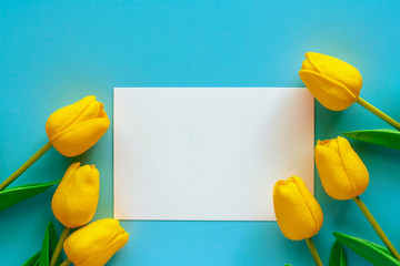 Artificial yellow tulips with white paper card on blue background for nature decoration and springtime concept