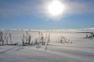 Снежные поля