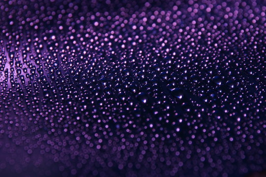 water drops abstract holiday background purple