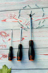 three screwdriver or one with screws in the shape of a circle. On a wooden background there are...