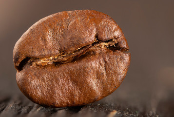 Coffee seeds on grunge wooden background close up