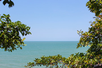 Sea trees and bright sky.