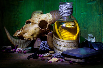 Snake cobra in the bottle, ram skull, old books, dry rose and crow quill on old wooden desk....