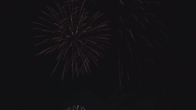 Fireworks in the dark sky at night .