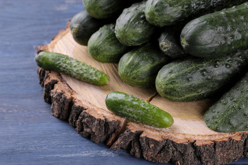 A lot of fresh cucumbers of different varieties close-up on a wooden stand on a blue wooden background. vegetables