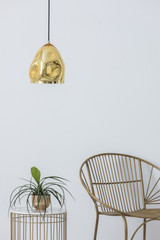 Stylish golden lap above industrial table with plant in pot on it, elegant chair next to it, real photo with copy space