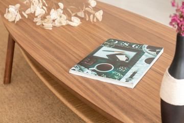 Colorful magazine on the wooden table in stylish living room of modern apartment, real photo
