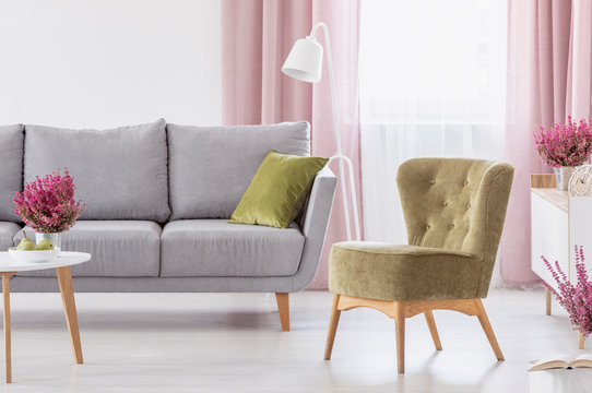 Green armchair standing in white living room interior with grey couch, window with pastel pink drapes and fresh heathers in real photo