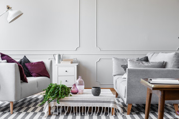 Green plant, glass vases and doted coffee mug on the coffee table in scandinavian living room with bright grey wall with molding and copy space