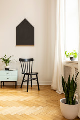 Real photo of a black chair, blackboard and plants in a child room interior