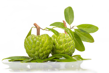 Fototapeta premium Custard apple isolated on white background with stem and leaves