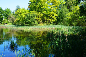 small lake near Radun castle