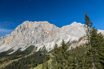 Blick auf die Zugspitze mit Wetterwandeck von Ehrwald