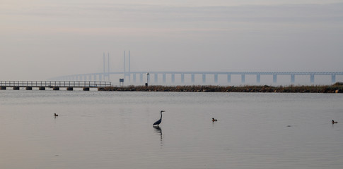 people on pier