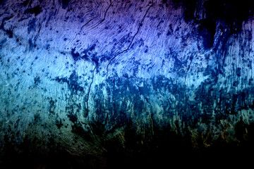 Natural tree wood texture and background