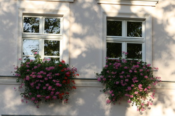 Blumenfenster 2