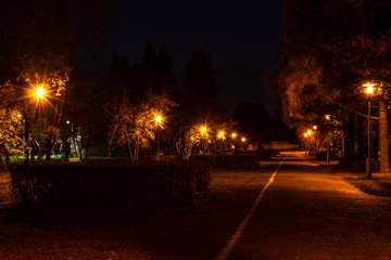 Night autumn alley in the park, illuminated by the warm light of the lanterns.