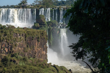Iguazu falls and Atlantic rainforest in sunlight, Misiones, Argentina, South America