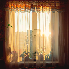 Morning sunlight in the window through the curtains