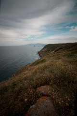 Obraz premium Cliff sea cloudy day. Mediterranean vegetation panorama. Sardinia, Italy. Vertical.