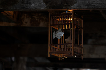 Bird cages are made of wood and carved on the inside. There is light to shine and shadow. It was hung under the wall of the house. Soft focus and blur. Dark tone.