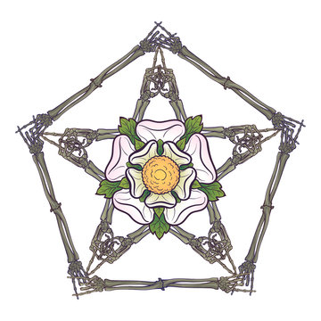 Halloween pentagrame. Human hand bones arranged in an intricate gothic occult ornament with a stylized rose flower in the center. Tattoo design. Isolated on white background. EPS10 vector illustration