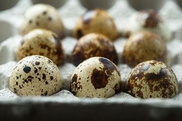 Obraz premium Raw quail eggs