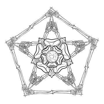 Halloween pentagrame. Human hand bones arranged in an intricate gothic occult ornament with a stylized rose flower in the center. Tattoo design. Isolated on white background. EPS10 vector illustration