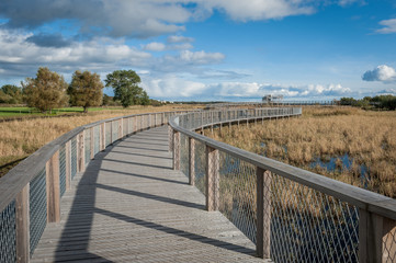 Obraz premium Boardwalk path through coastal meadow area. Boardwalk in Parnu coastal meadow hiking trail. Estonia. Baltic.