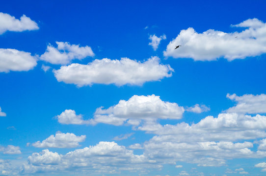 blue sky with white clouds and birds