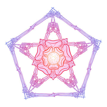 Halloween pentagrame. Human hand bones arranged in an intricate gothic occult ornament with a stylized rose flower in the center. Trendy colored line drawing Isolated on white background. EPS10 vector