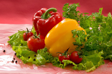 Овощи - помидоры, перец, салат, петрушка на красном фоне Vegetables - tomatoes, peppers, lettuce, parsley on a red background