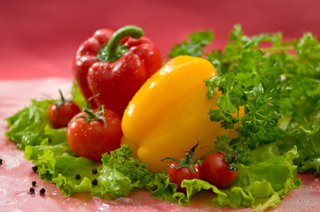 Овощи - помидоры, перец, салат, петрушка на красном фоне Vegetables - tomatoes, peppers, lettuce, parsley on a red background