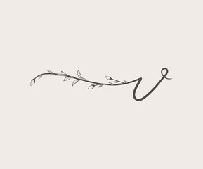 Vector Hand Drawn floral v monogram and logo