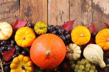 various pumpkin and grape
