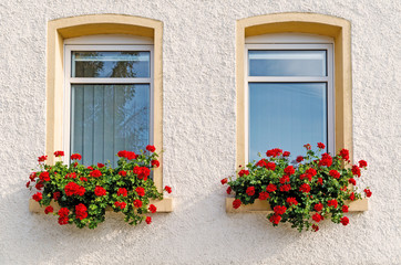 Fototapeta na wymiar Windows with Red Flowers