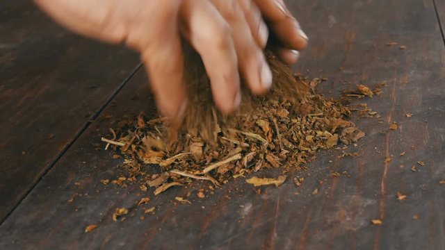 Male hands crumple dry leaves of tobacco on table