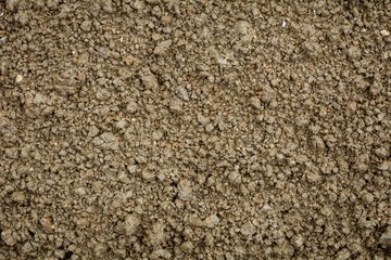 wet soil texture. - vintage background.