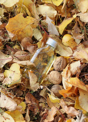 Colorful autumn background with fall. large selection of colors. With a bottle of liquid, nuts and apples
