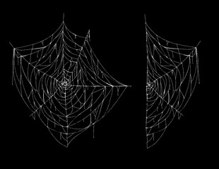 Vector illustration of spiderweb, whole and part, white spooky cobweb isolated on black background. Sticky hanging net, spider trap to catch insects. Hand drawn silhouette, decor for Halloween design