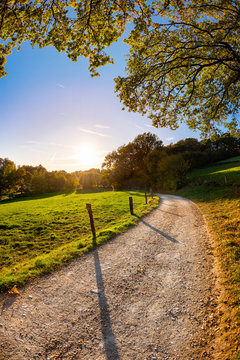 Autumn landscape at sunset with a path beside a meadow